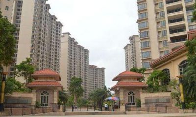 遂溪啟達(dá)世家