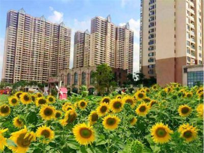 湛江公園一號(hào)